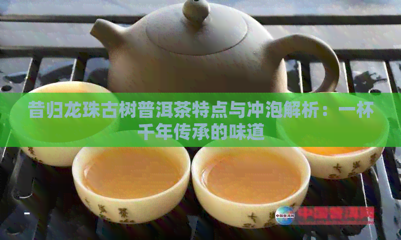 昔归龙珠古树普洱茶特点与冲泡解析：一杯千年传承的味道