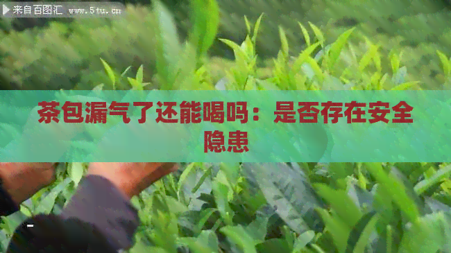 茶包漏气了还能喝吗：是否存在安全隐患