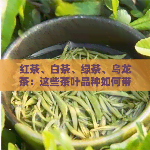 红茶、白茶、绿茶、乌龙茶：这些茶叶品种如何带来独特的甜美口感？