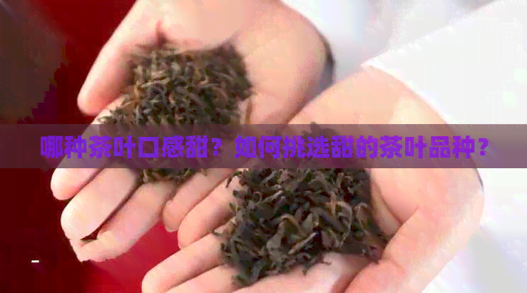 哪种茶叶口感甜？如何挑选甜的茶叶品种？