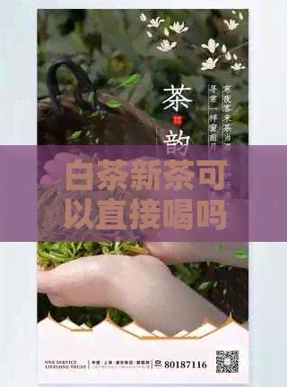 白茶新茶可以直接喝吗：百度百科女生指南