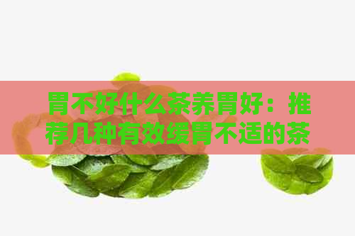 胃不好什么茶养胃好：推荐几种有效缓胃不适的茶叶