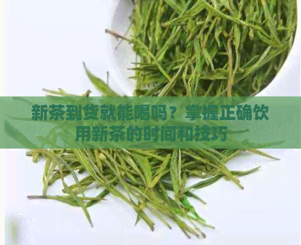 新茶到货就能喝吗？掌握正确饮用新茶的时间和技巧