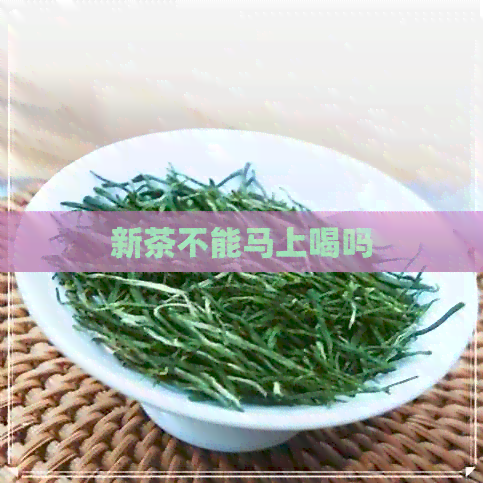 新茶不能马上喝吗