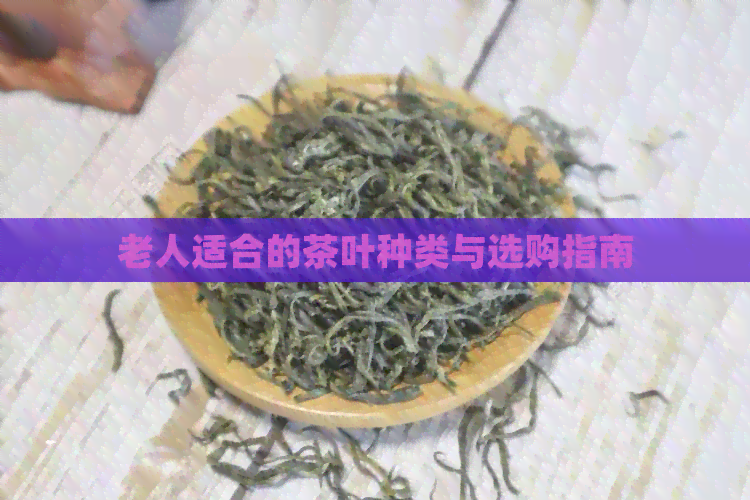 老人适合的茶叶种类与选购指南