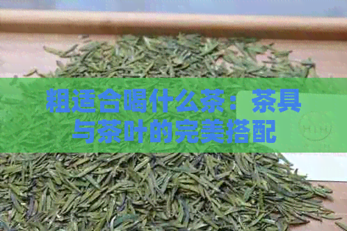 粗适合喝什么茶：茶具与茶叶的完美搭配