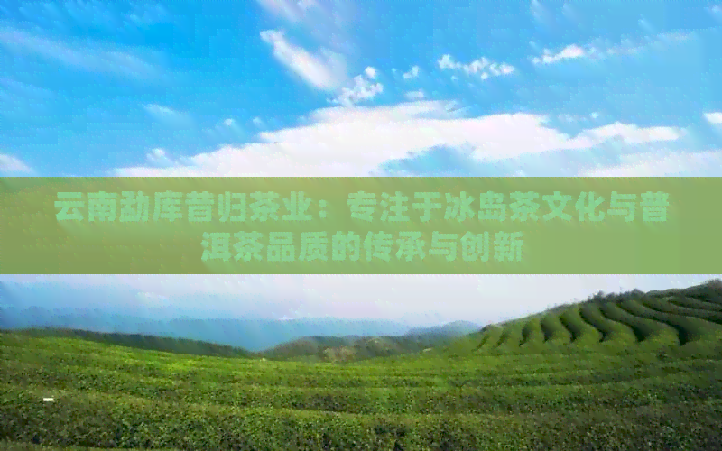 云南勐库昔归茶业：专注于冰岛茶文化与普洱茶品质的传承与创新