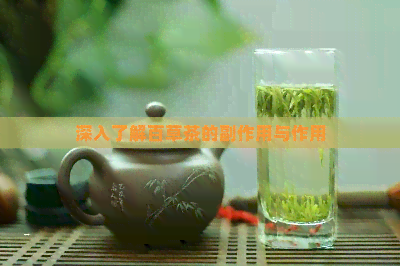 深入了解百草茶的副作用与作用