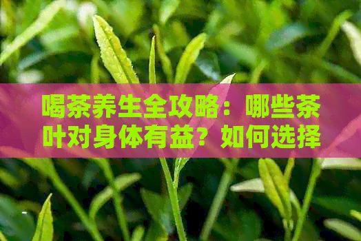 喝茶养生全攻略：哪些茶叶对身体有益？如何选择和饮用茶叶？