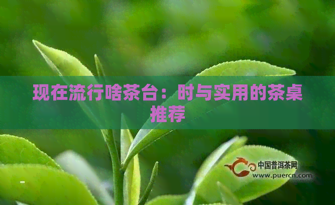 现在流行啥茶台：时与实用的茶桌推荐