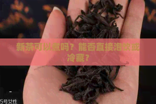 新茶可以煮吗？能否直接泡饮或冷藏？