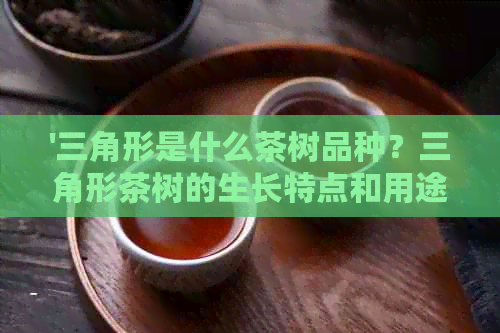 '三角形是什么茶树品种？三角形茶树的生长特点和用途详解'