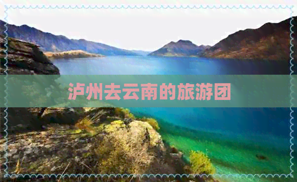 泸州去云南的旅游团