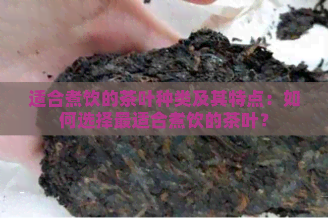 适合煮饮的茶叶种类及其特点：如何选择最适合煮饮的茶叶？