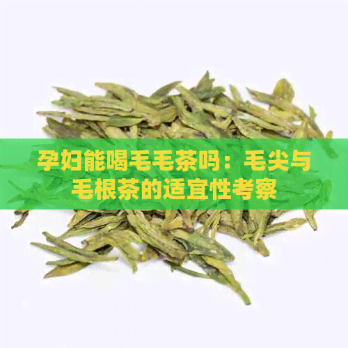 孕妇能喝毛毛茶吗：毛尖与毛根茶的适宜性考察