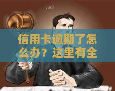 信用卡逾期了怎么办？这里有全面的解决方案！