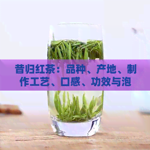 昔归红茶：品种、产地、制作工艺、口感、功效与泡法全面解析