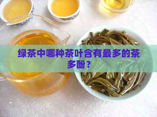 绿茶中哪种茶叶含有最多的茶多酚？