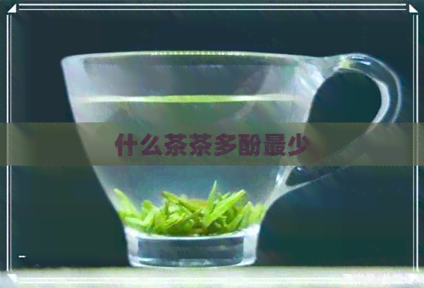 什么茶茶多酚最少