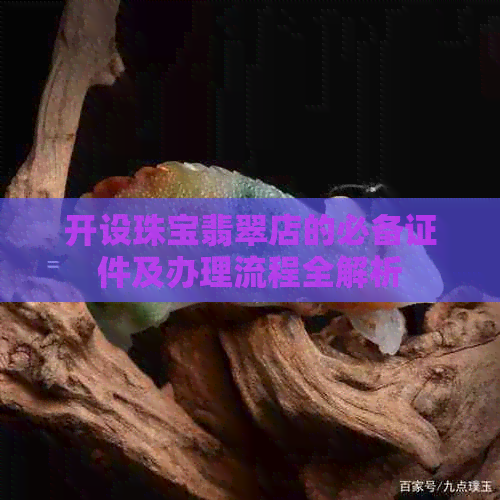 开设珠宝翡翠店的必备证件及办理流程全解析