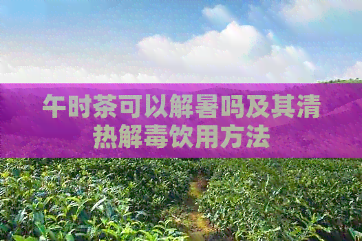 午时茶可以解暑吗及其清热解饮用方法