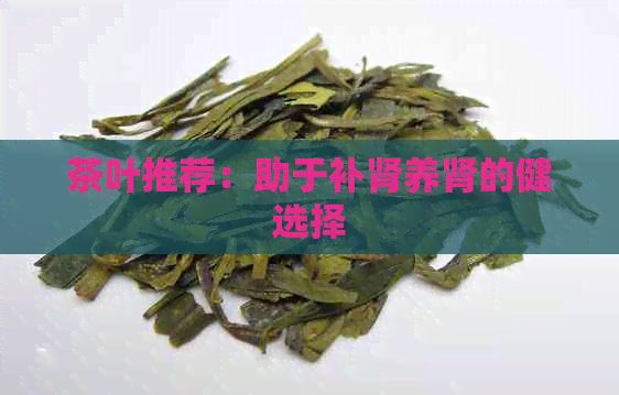 茶叶推荐：助于补肾养肾的健选择