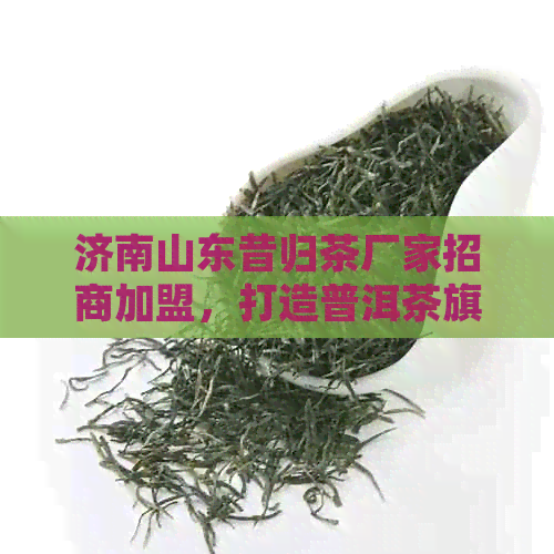 济南山东昔归茶厂家招商加盟，打造普洱茶旗舰店新标杆