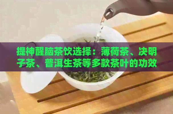 提神醒脑茶饮选择：薄荷茶、决明子茶、普洱生茶等多款茶叶的功效与作用