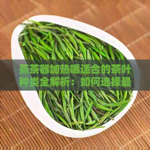 蒸茶器加热喝适合的茶叶种类全解析：如何选择最适合的茶品