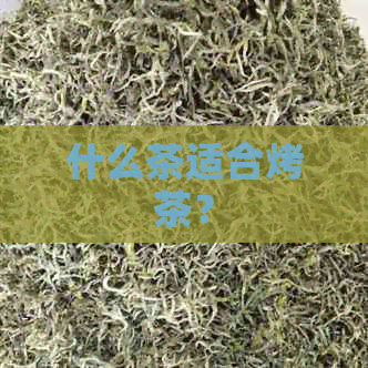 什么茶适合烤茶？