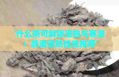 '什么茶可解除湿热与寒湿：除湿清热佳选推荐'