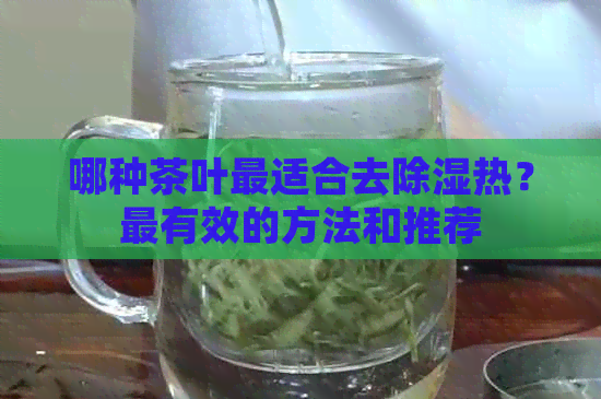 哪种茶叶最适合去除湿热？最有效的方法和推荐