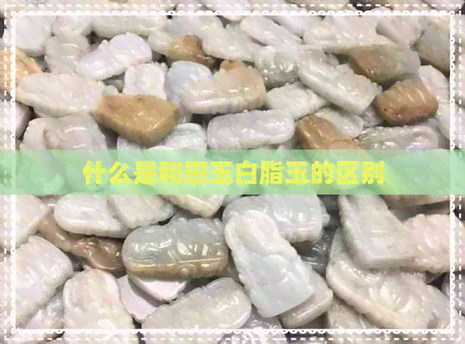 什么是和田玉白脂玉的区别