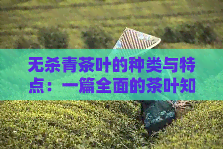 无杀青茶叶的种类与特点：一篇全面的茶叶知识解析