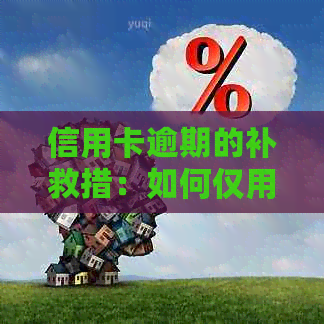 信用卡逾期的补救措：如何仅用几块钱恢复信用？