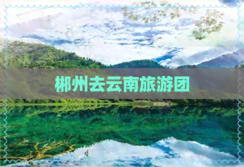 郴州去云南旅游团