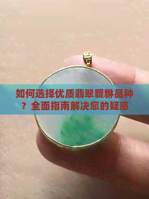 如何选择优质翡翠貔貅品种？全面指南解决您的疑惑