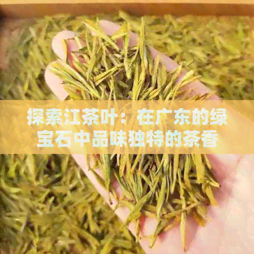 探索江茶叶：在广东的绿宝石中品味独特的茶香