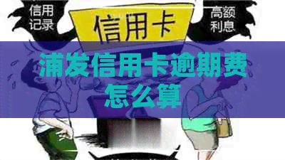 浦发信用卡逾期费怎么算