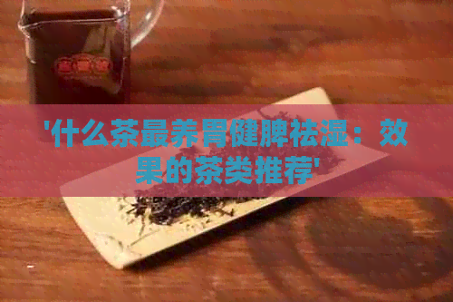 '什么茶最养胃健脾祛湿：效果的茶类推荐'