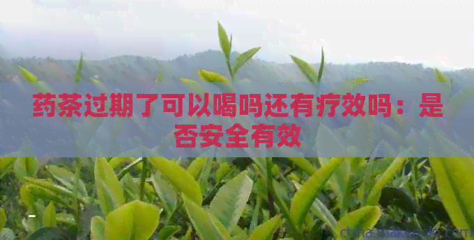 药茶过期了可以喝吗还有疗效吗：是否安全有效