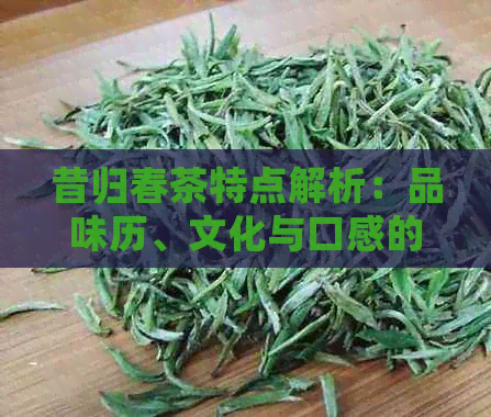 昔归春茶特点解析：品味历、文化与口感的完美结合