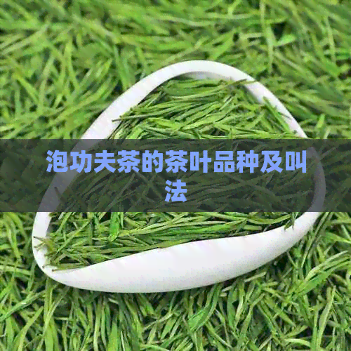 泡功夫茶的茶叶品种及叫法