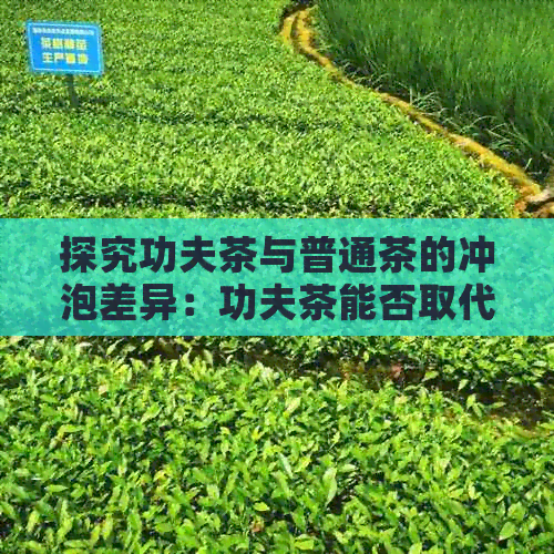 探究功夫茶与普通茶的冲泡差异：功夫茶能否取代普通茶？