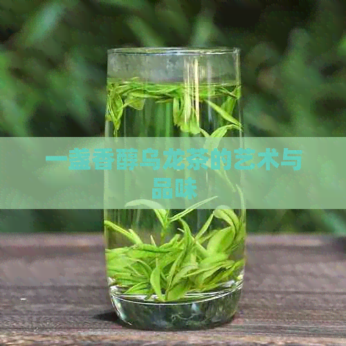 一盏香醇乌龙茶的艺术与品味