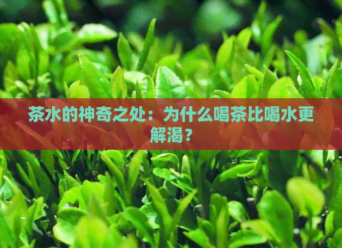 茶水的神奇之处：为什么喝茶比喝水更解渴？