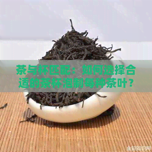 茶与杯匹配：如何选择合适的茶杯泡制每种茶叶？