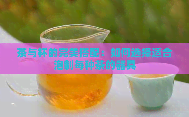 茶与杯的完美搭配：如何选择适合泡制每种茶的器具
