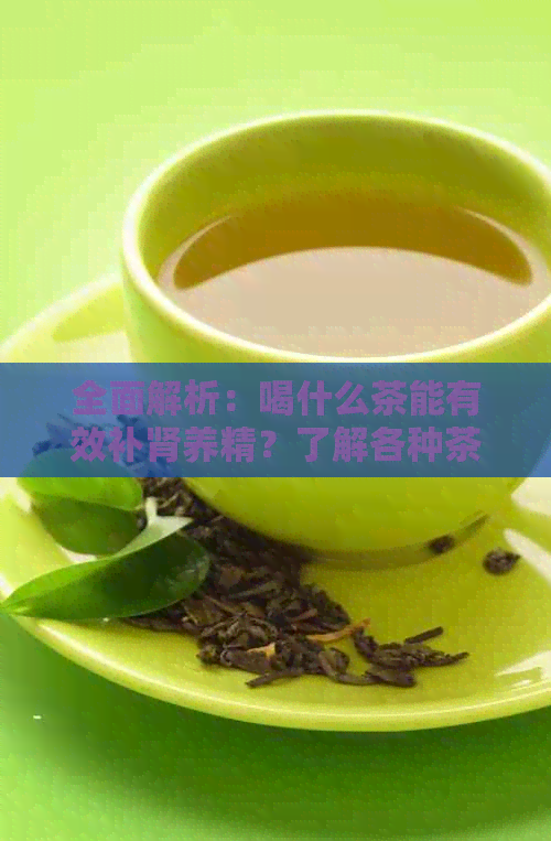 全面解析：喝什么茶能有效补肾养精？了解各种茶的营养成分与功效