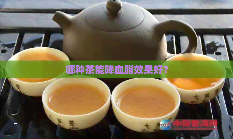 哪种茶能降血脂效果好？